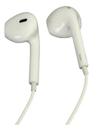 FON-HMA-BRA-039